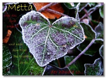 Metta