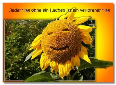 Jeder Tag