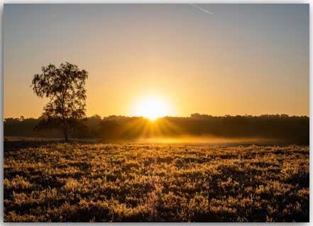 Postkarte Sonnenaufgang