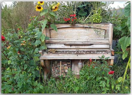 Postcard Lost piano