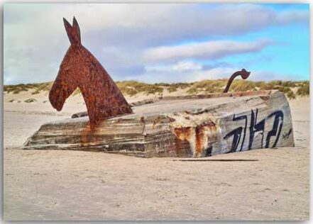 Mule on Blåvand beach